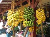 Banane Sri Lanka